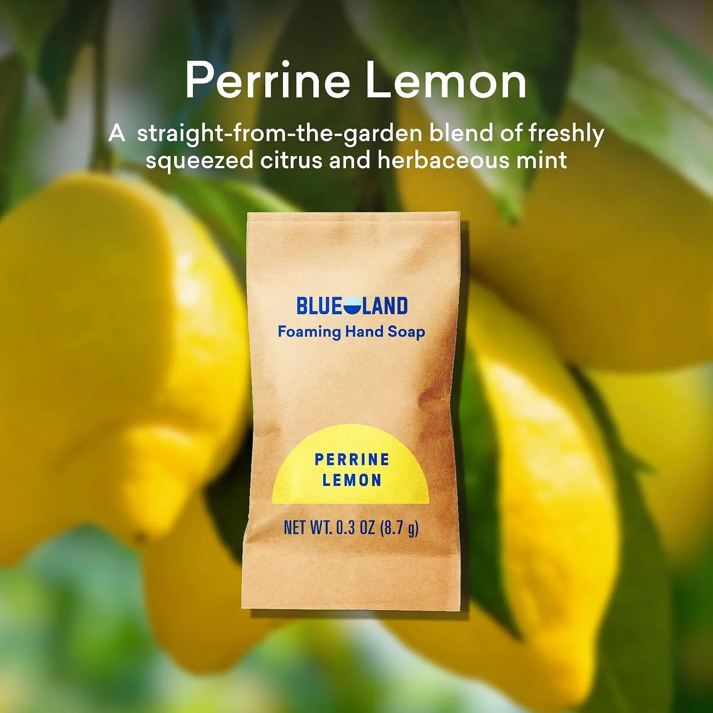 BLUELAND Foaming Hand Soap Refill Tablets, 10-Pack, Perrine Lemon